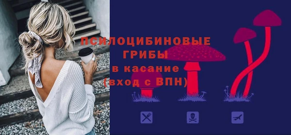 крисы Абаза