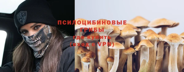 тгк Абинск