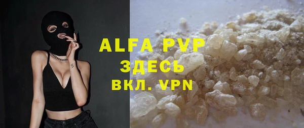 крисы Абаза