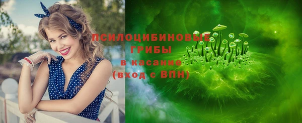 крисы Абаза