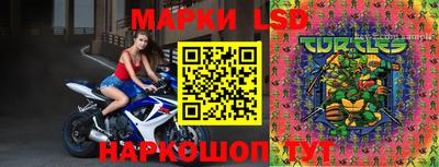 крисы Пенза