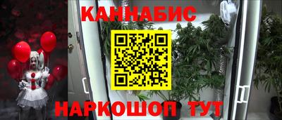 крисы Пенза
