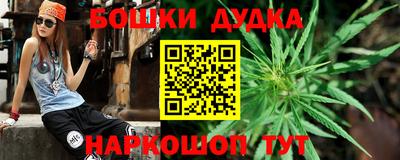 крисы Пенза