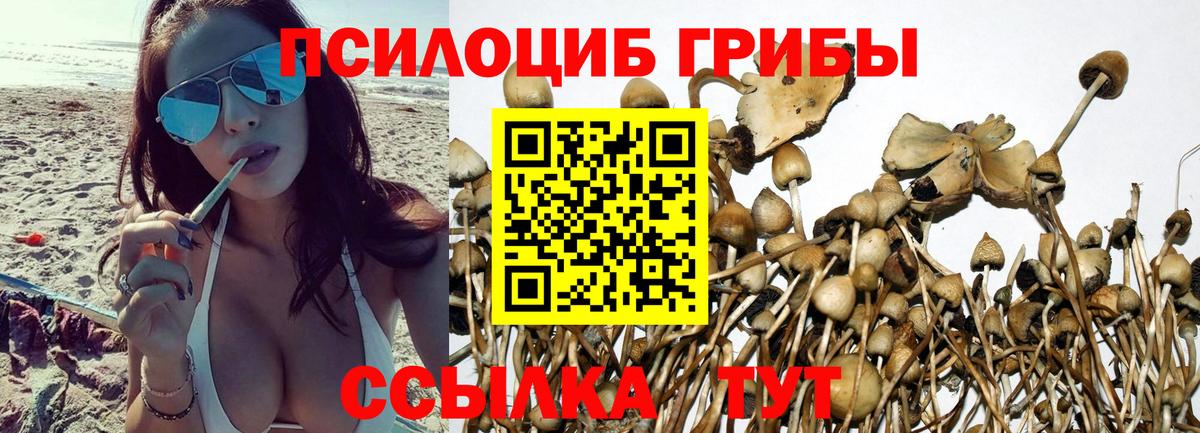 Псилоцибиновые грибы Psilocybe  наркота  Ростов-на-Дону  Вход с VPN 